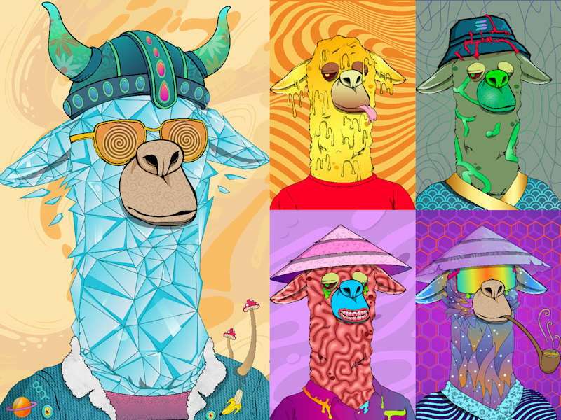 Cover image for Lama 2D NFT 