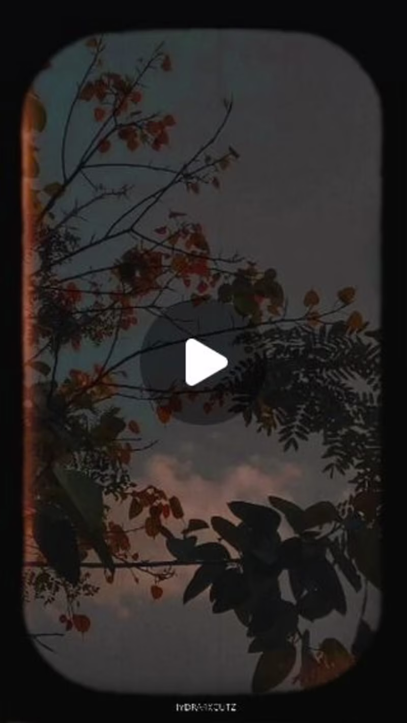 Cover image for 𝚂𝙸𝙳𝙷𝙰𝚁𝚃𝙷 ~ ʜʏᴅʀᴀ on Instagram: ”𝙻𝚎𝚝 𝚑𝚎𝚛 𝚐𝚘 𝚡 �…