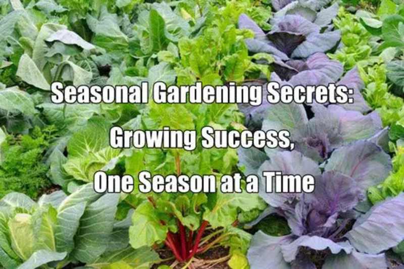 Cover image for Seasonal Gardening Guide with Metal Raised Beds