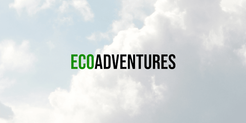 Cover image for EcoAdventures Travel Website Concept