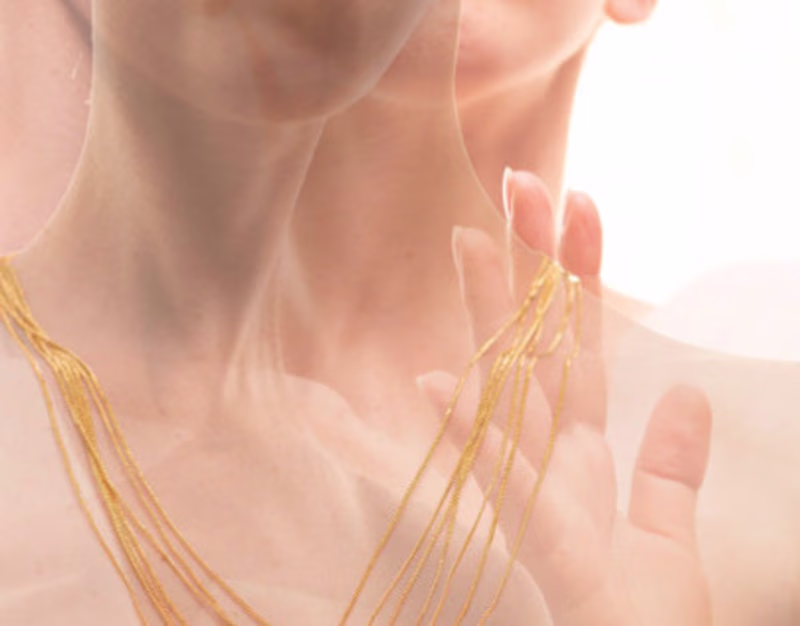 Cover image for Hipólita