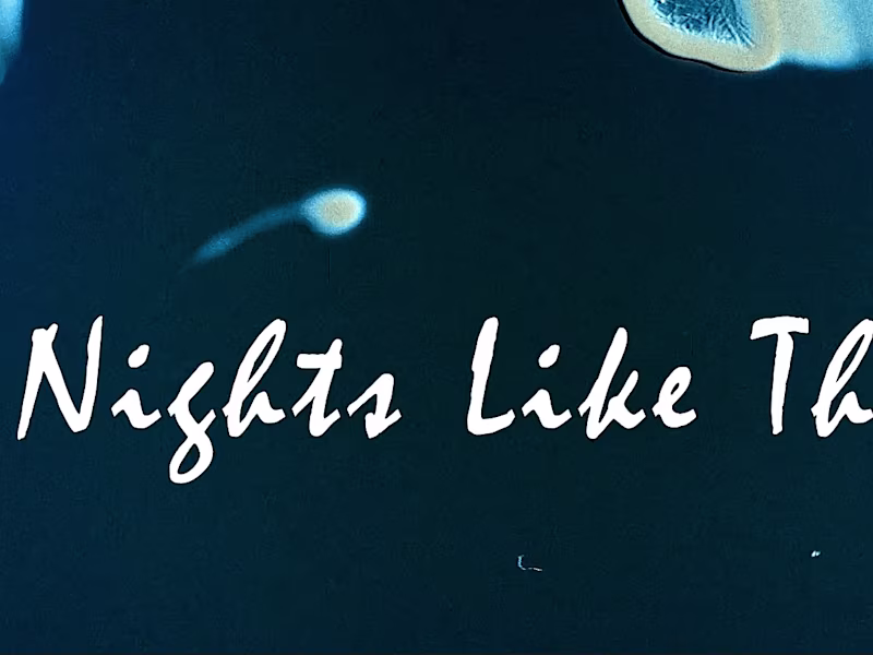 Cover image for will create professional edits with transitions and effects.