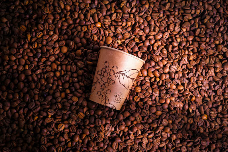 Cover image for Meraki | Brand Identity
