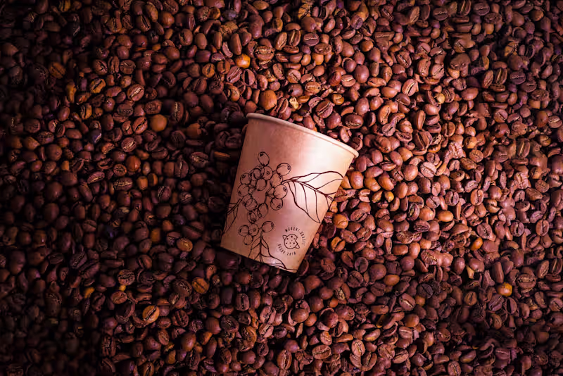 Cover image for Meraki | Brand Identity