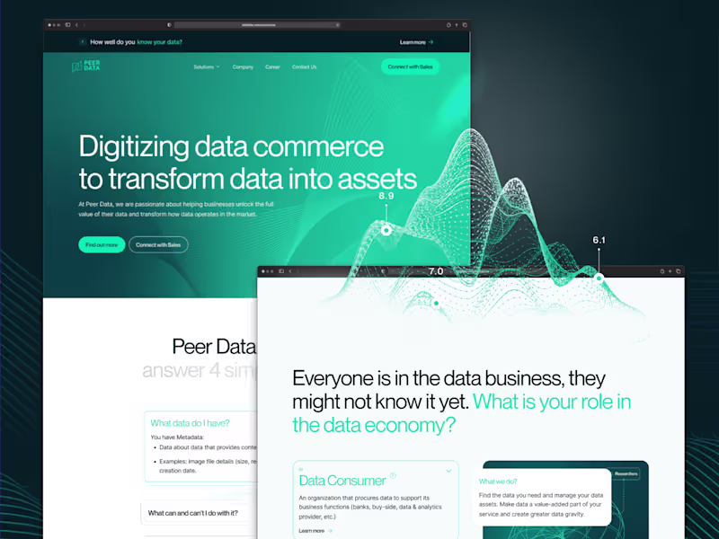 Cover image for PEERDATA: Where Digital Transformation Meets Business Innovation