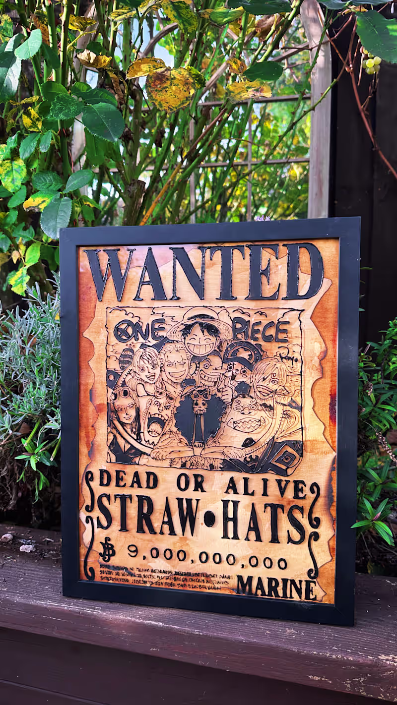 Cover image for Framed Illustrations