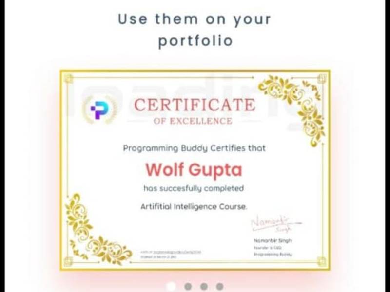 Cover image for Programming Buddy