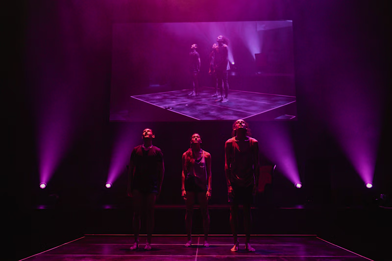 Cover image for Myriad 2017