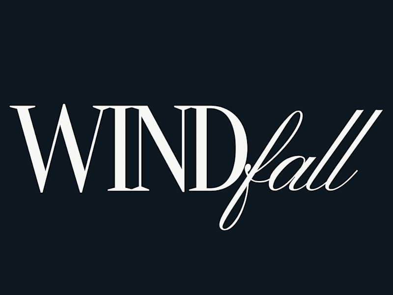 Cover image for WINDFALL | Apparel