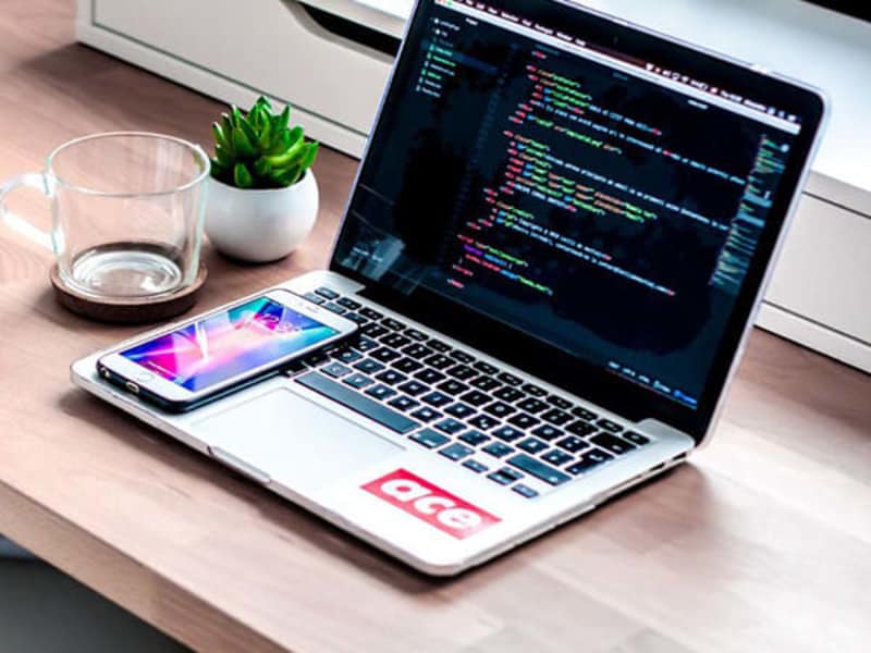 Cover image for Web Development