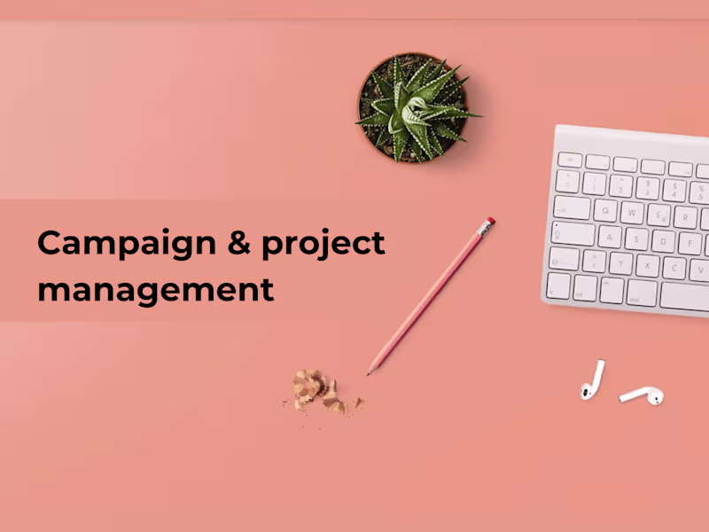 Cover image for Campaign & project management
