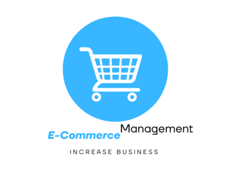 Cover image for  E-Commerce Management Service Provider