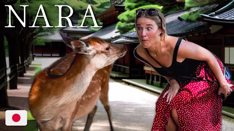 Cover image for Youtube Video - Probably Lost