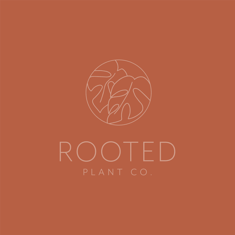 Cover image for Rooted Plant Co.