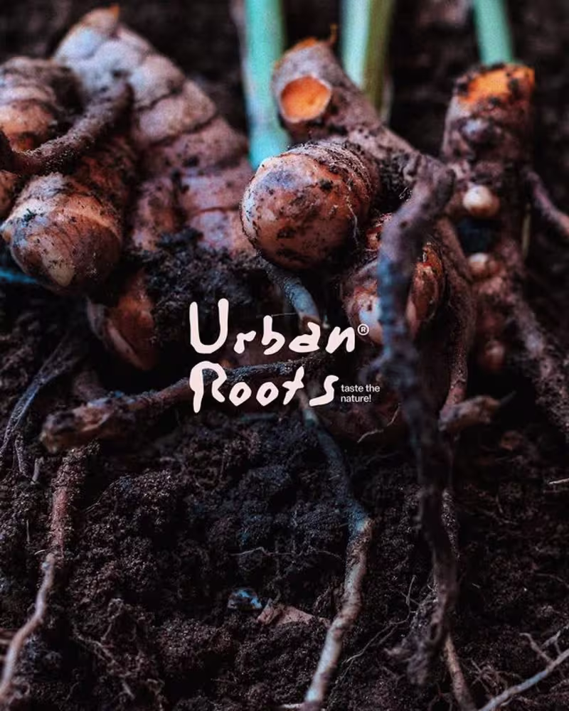 Cover image for A grounded visual story built on raw texture and honest fres...