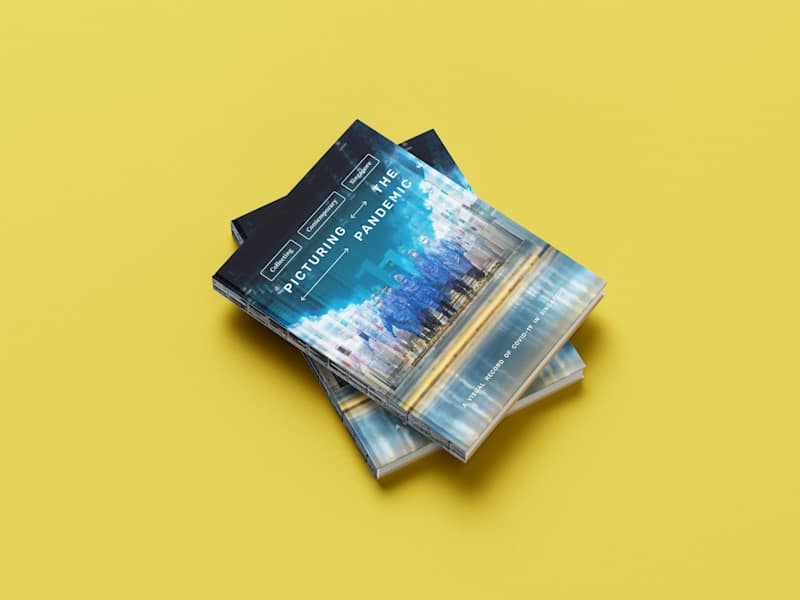 Cover image for Picturing the Pandemic