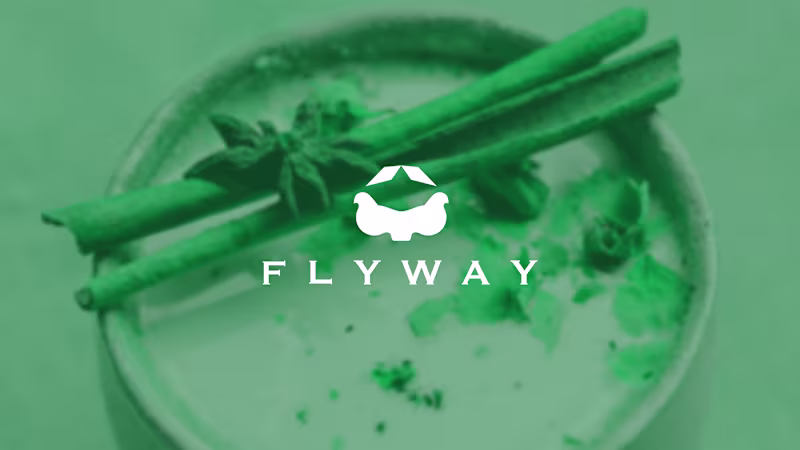 Cover image for Flyway Logo Design