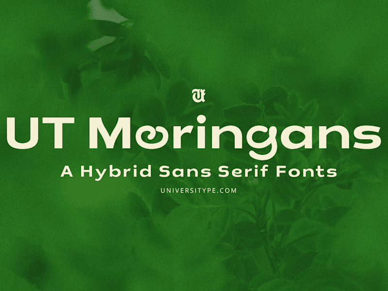 Cover image for Custom Typography
