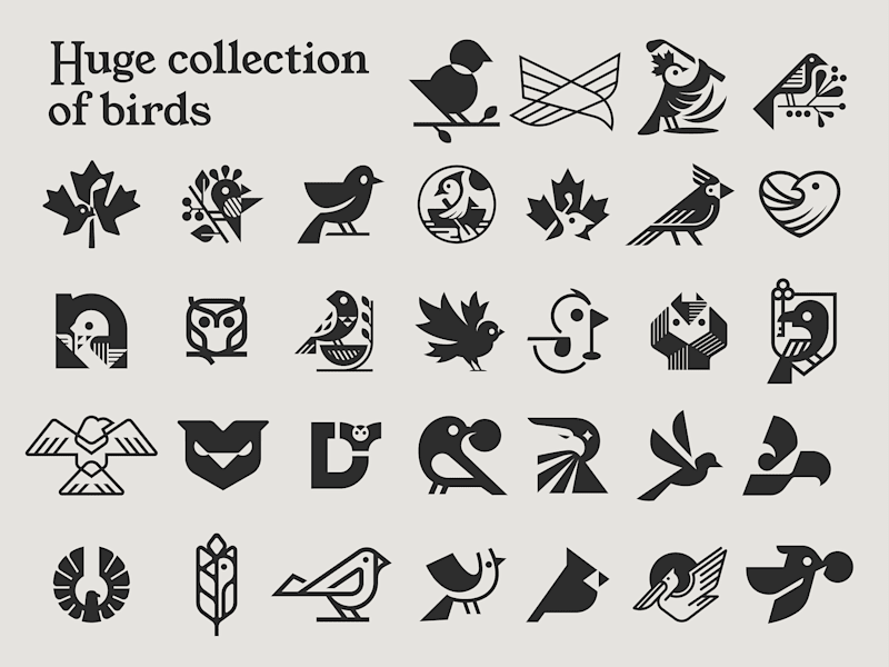 Cover image for Huge collection of birds /2023