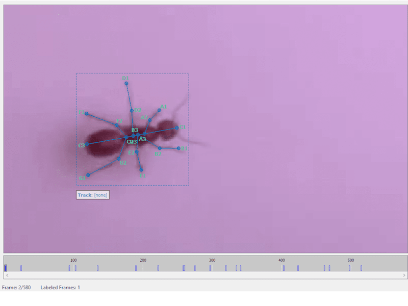 Cover image for Built a Computer Vision object detection and tracking model