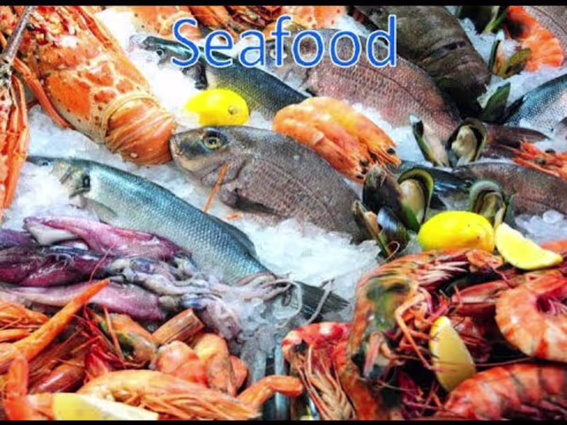 Cover image for Seafood & Ocean