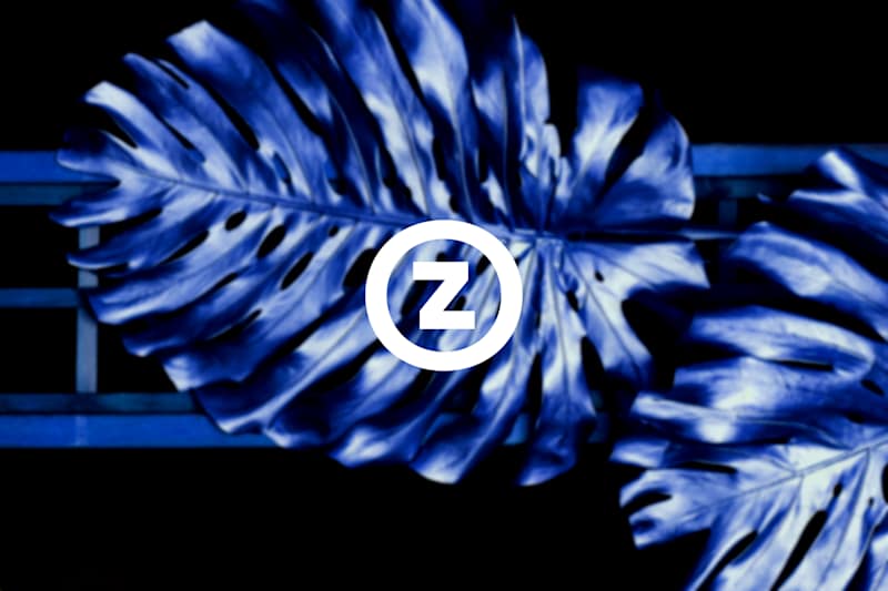 Cover image for ZELO | Brand Identity 