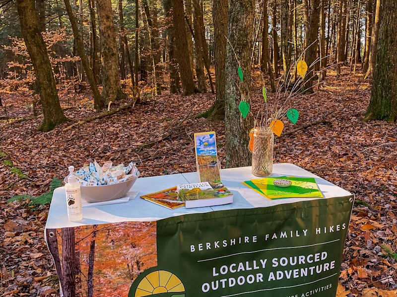Cover image for Berkshire Family Hikes