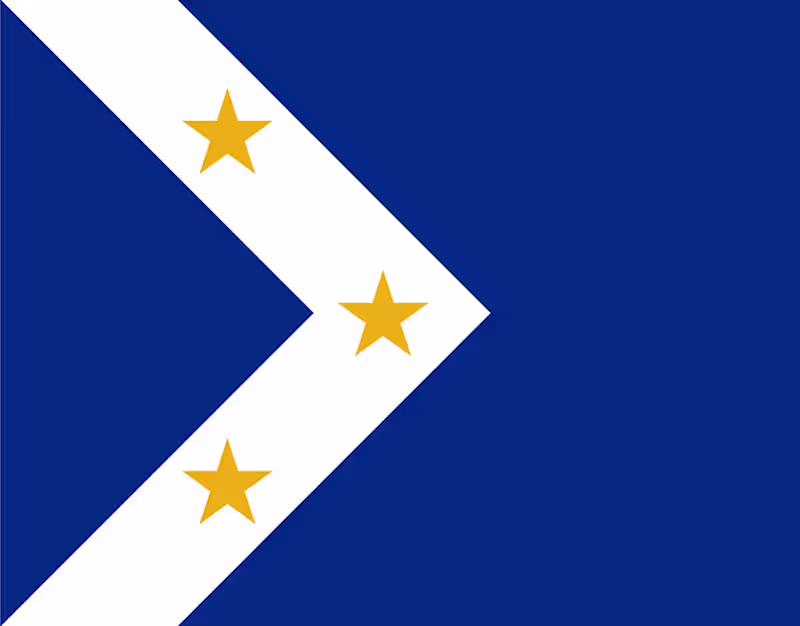 Cover image for Laconia Flag