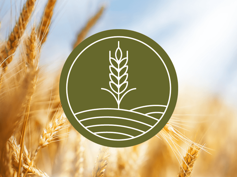 Cover image for Logo Design | Agriculture