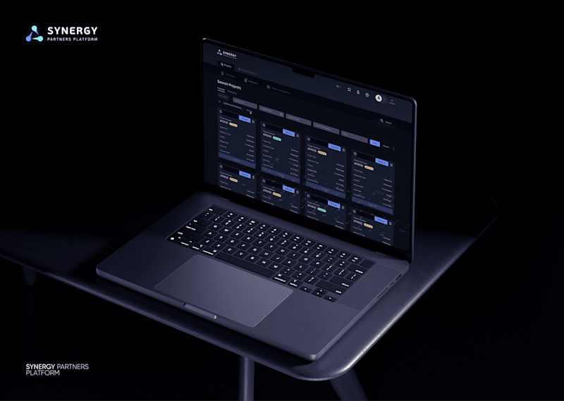 Cover image for Synergy Partners Platform design 