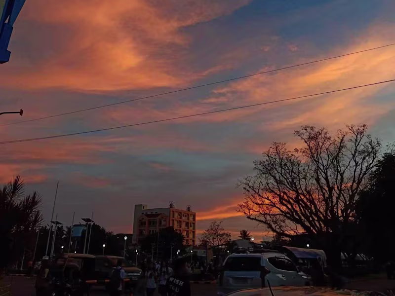 Cover image for Dedicated on what makes people happy