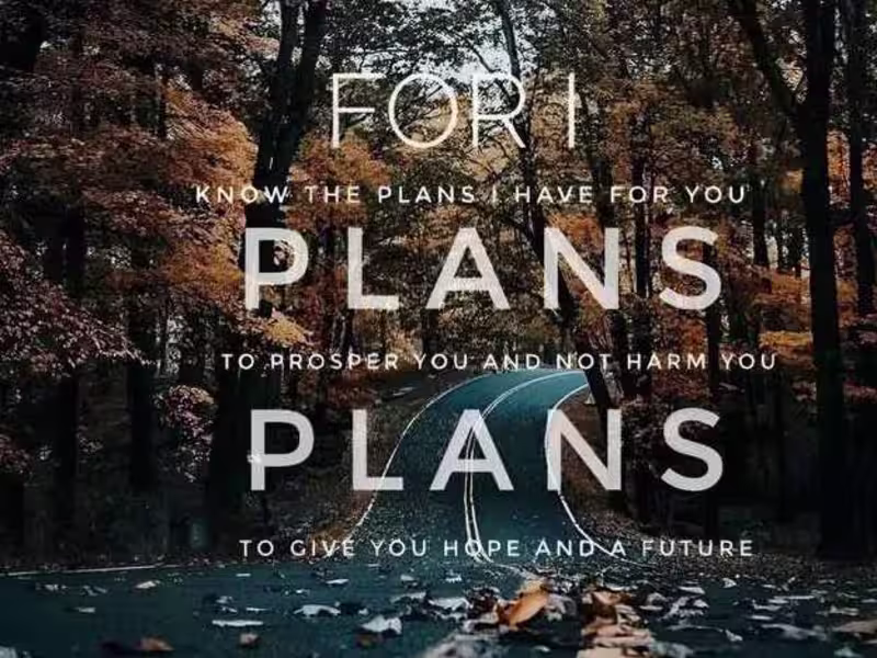 Cover image for Web Developer and Mobile Application Developer 