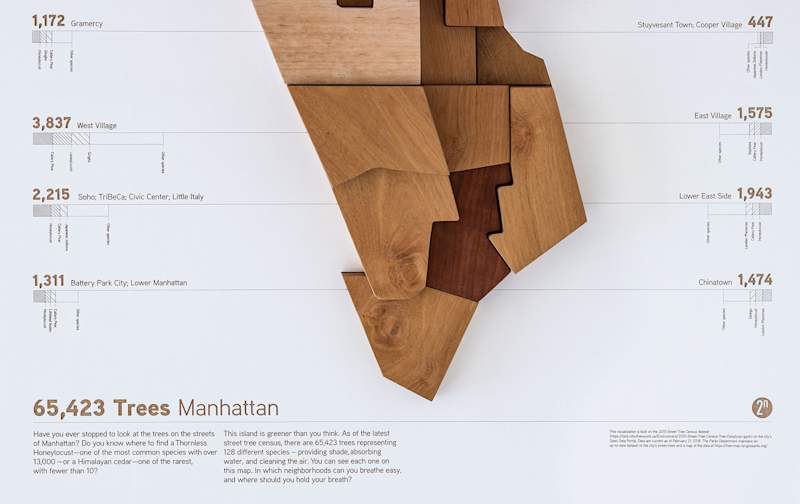 Cover image for Manhattan Tree Map Project