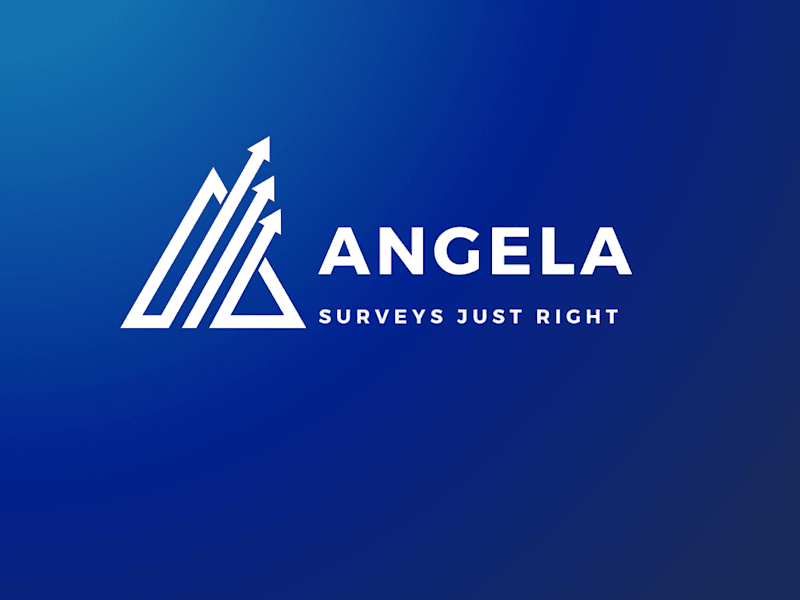 Cover image for Data capturing survey creator