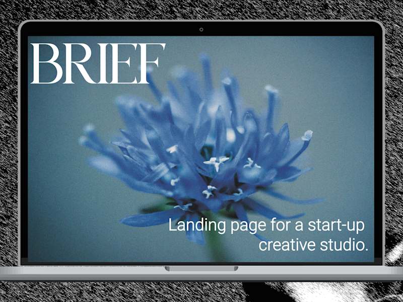 Cover image for Blue Orchid - Web Design