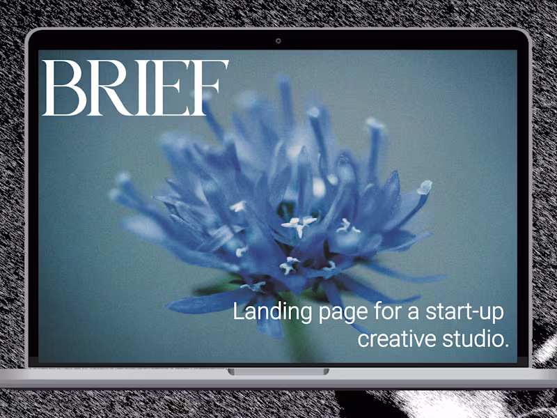 Cover image for Blue Orchid - Web Design
