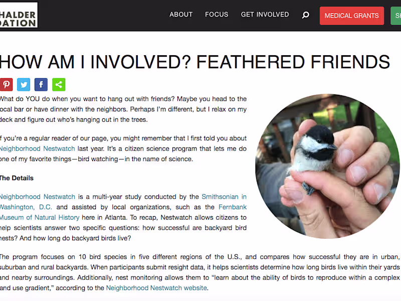 Cover image for Streamline your content, keep copy clean and accurate.