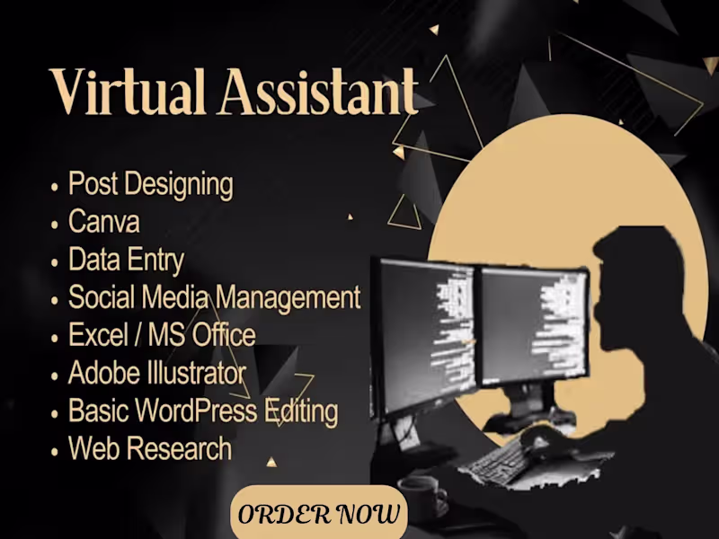 Cover image for professional virtual assistant, data entry and web research 