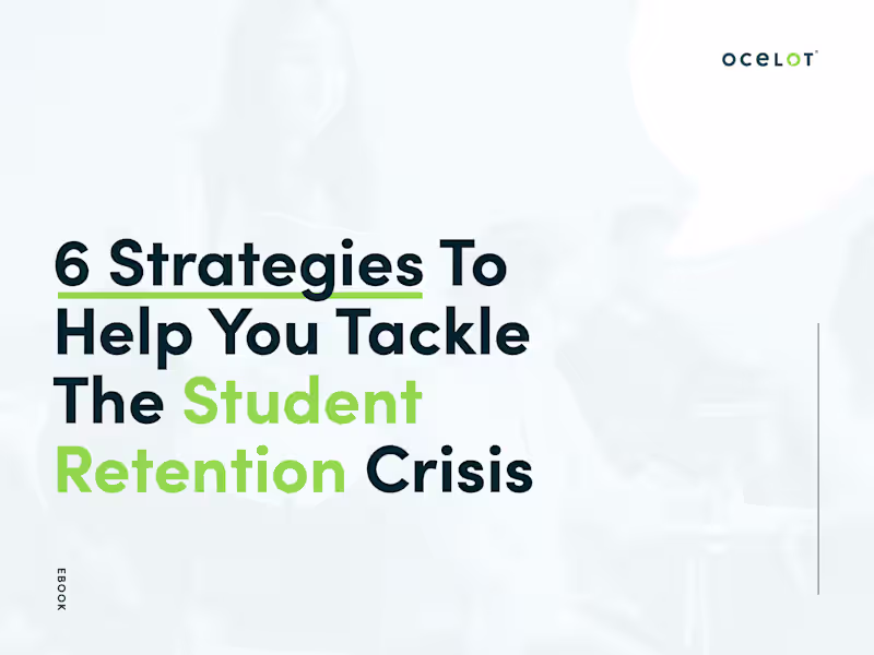 Cover image for Ocelot: Tackling Student Retention Issues in the US with Ebook