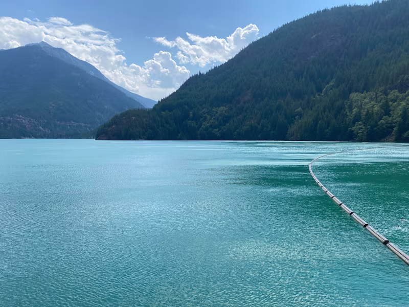 Cover image for Expert technical writing on all web topics