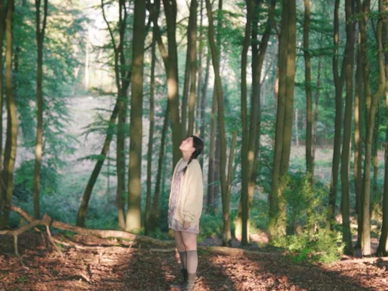 Cover image for Youtube Video Editing