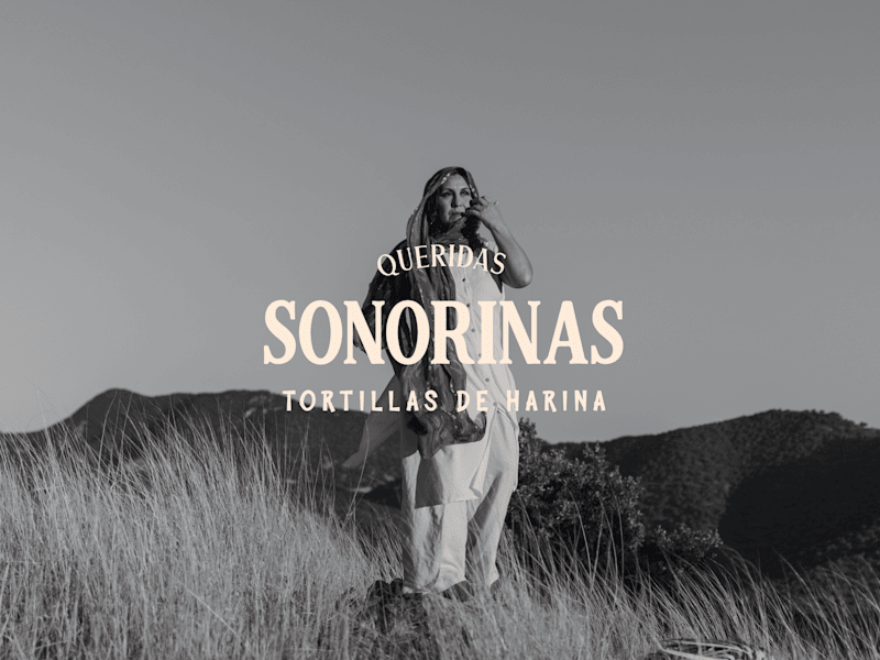 Cover image for Re-Branding