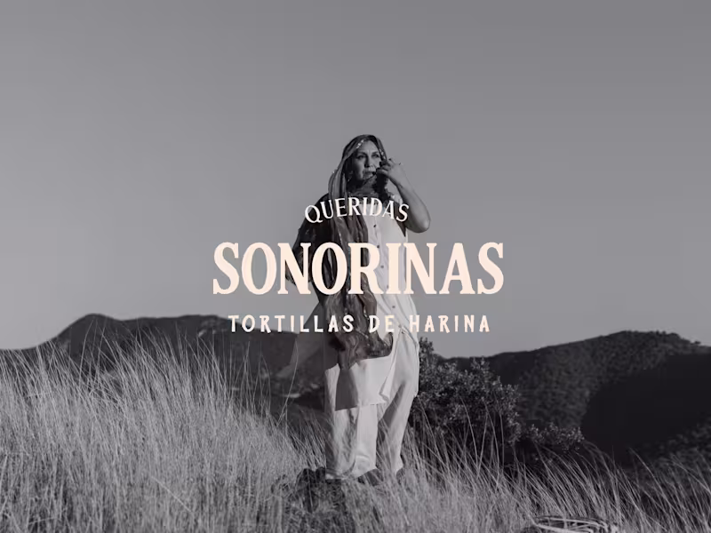 Cover image for Re-Branding