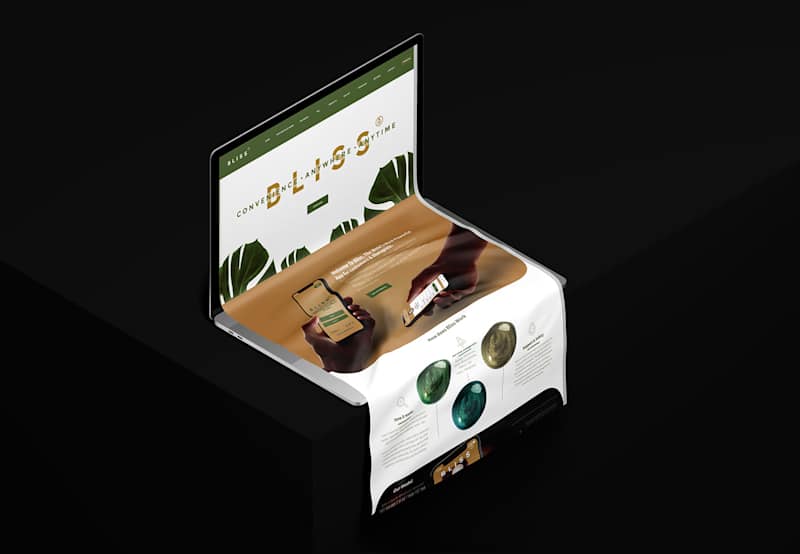 Cover image for Bliss Africa