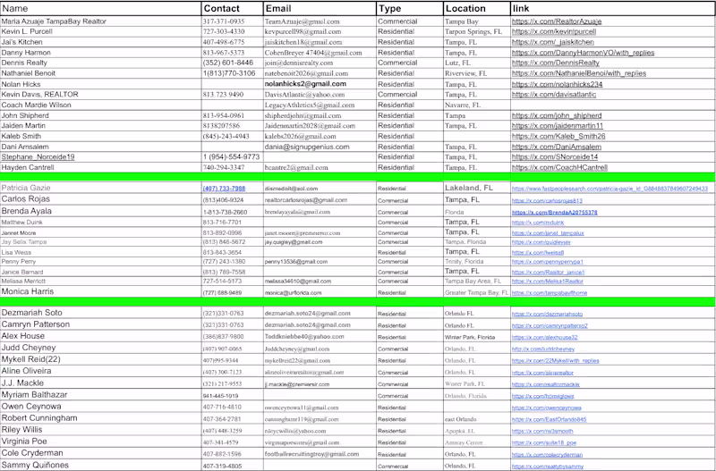 Cover image for Realtors In Florida