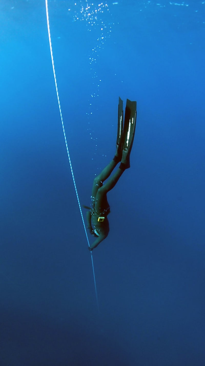 Cover image for Freediving vs. Snorkeling: Deep Dive or Stay Afloat