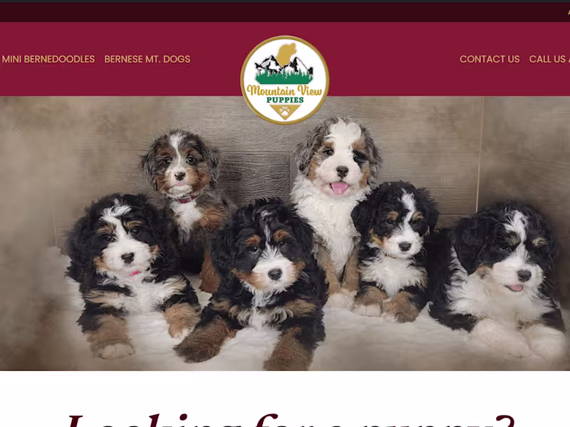 Cover image for E-com Puppy Portal Website