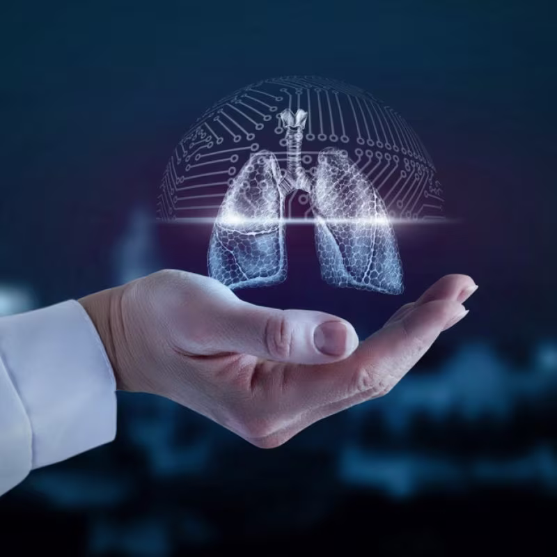 Cover image for Kalyan Chest Center