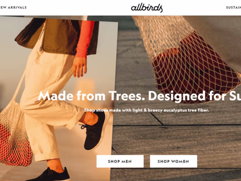 Cover image for Web Developer