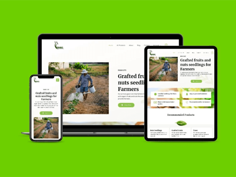 Cover image for Online Stores – WooCommerce integration setup and customization.